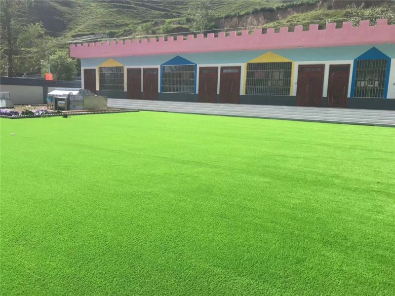 活動區(qū)休閑草